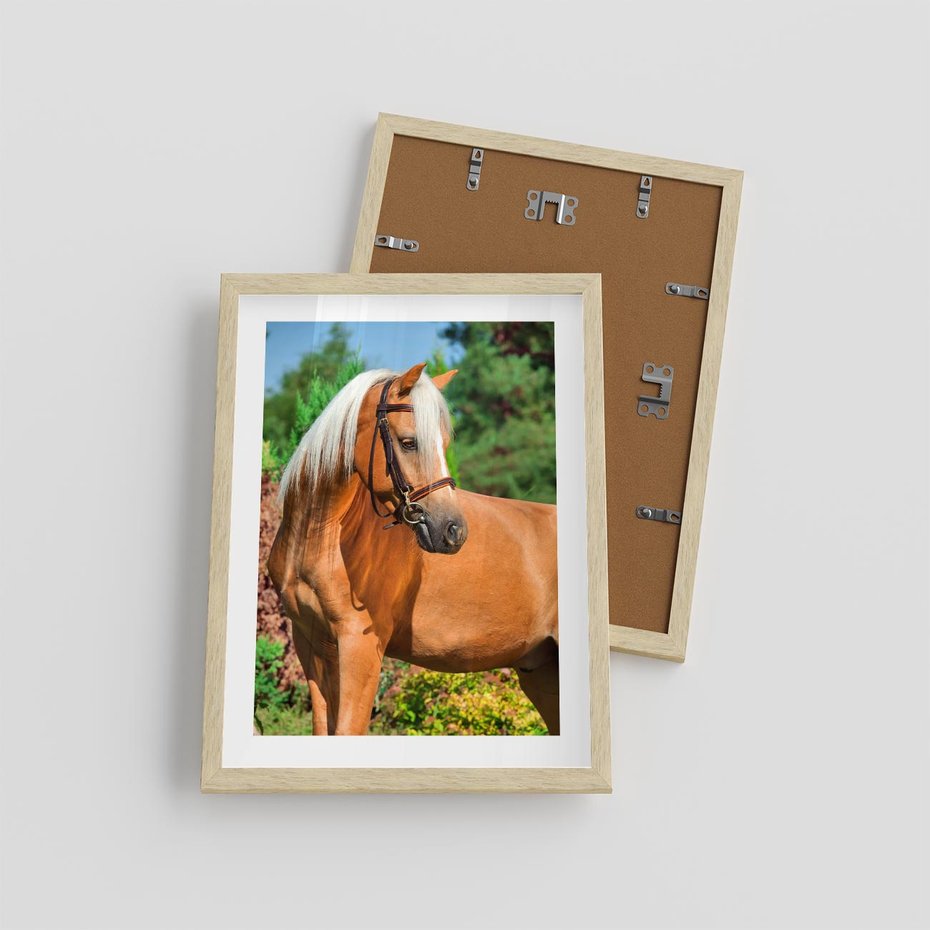 Plakat w ramie 30x40 - Elegancki wierzchowiec - koń, portret - rama drewno