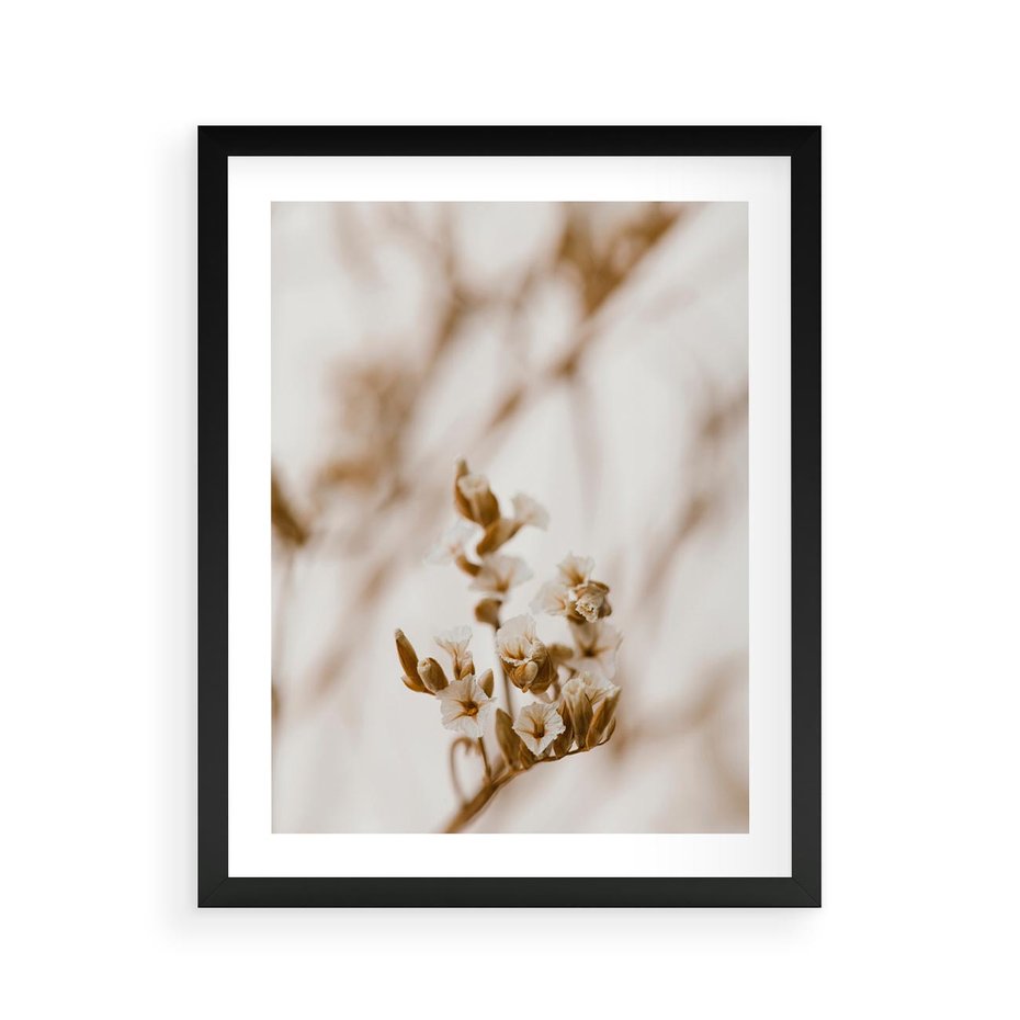 Plakat w ramie 40x50 - Kwiatowa suchość - kwiaty, susz - rama czarna
