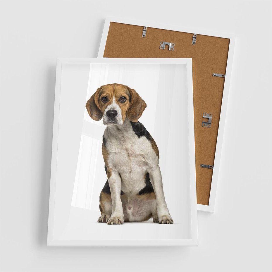 Plakat w ramie 50x70 - Wierność i radość - pies, piesek - rama biała