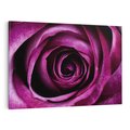 Obraz na płótnie 70x50 - piękno w delikatności - róża, kwiat