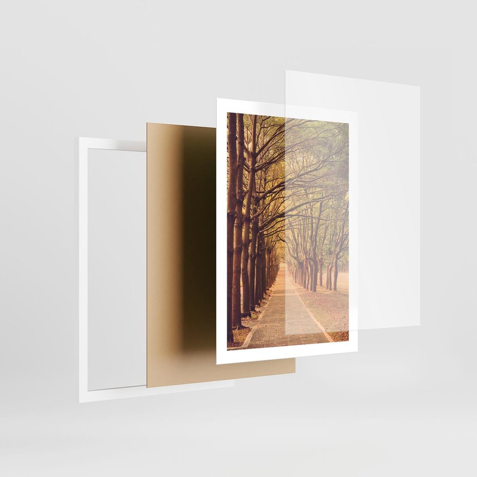 Plakat w ramie 50x70 - Wędrówka między drzewami - droga, drzewa - rama biała