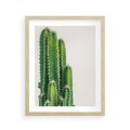 Plakat w ramie 40x50 - Minimalistyczne Kaktusy na Białym Tle - kaktusy, minimalistyczna fotografia - rama drewno