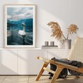 Plakat w ramie 40x50 - Łabędzi Śpiew - fotografia, plakat - rama drewno