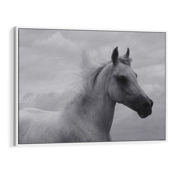 Obraz w ramie 120x80 - Moc i Wolność - czarno biała fotografia, biały - rama biała