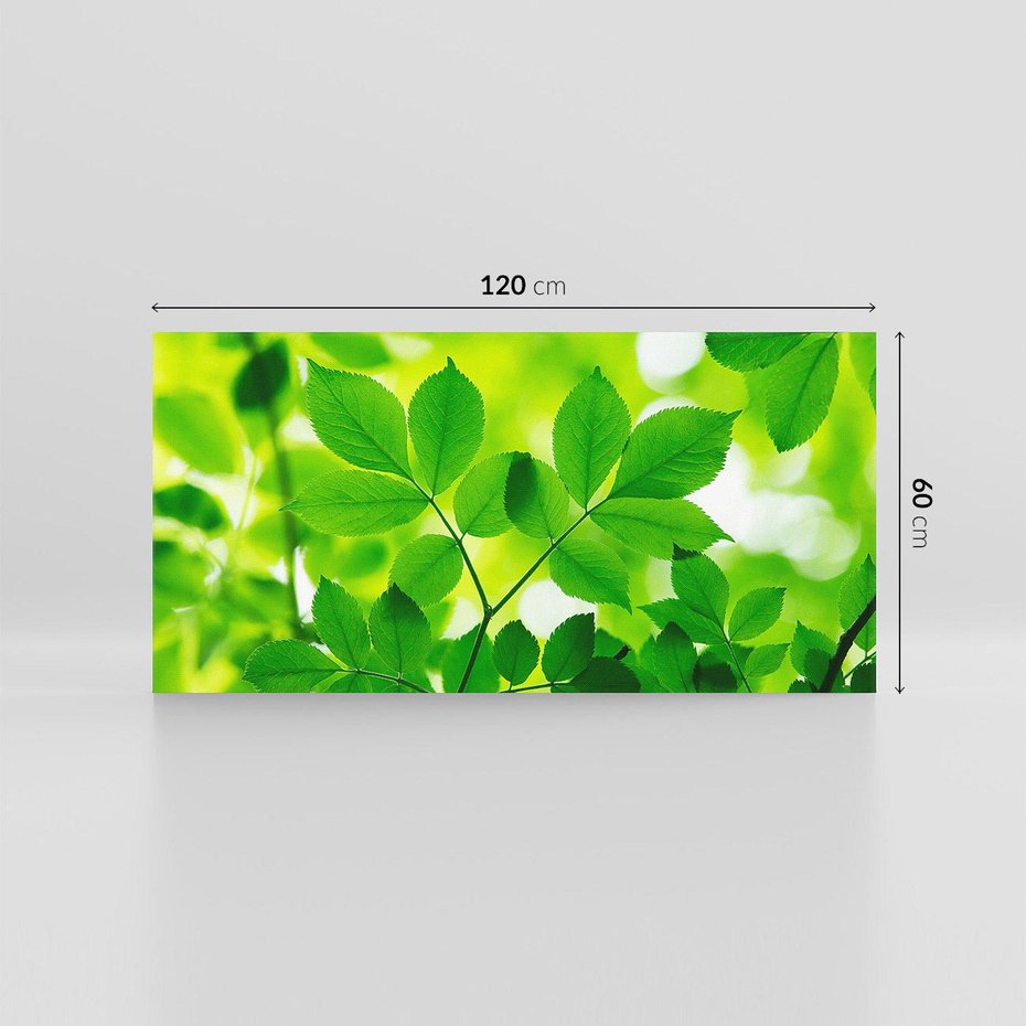 Obraz na płótnie 120x60 - Magia liści - liście, drzewo