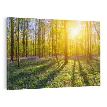 Obraz na płótnie 120x80 - Uroda lasu: harmonia drzew - las, drzewa