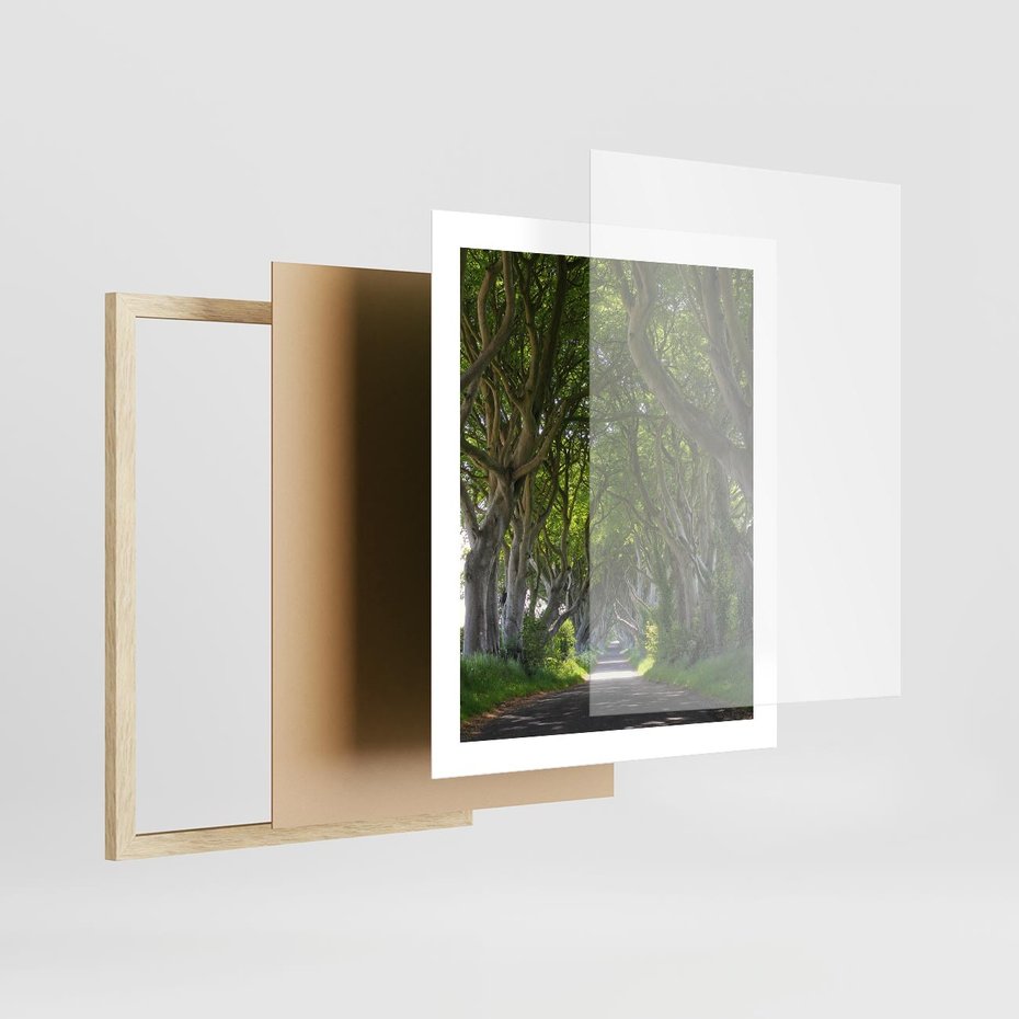 Plakat w ramie 40x50 - Magiczny Las - drzewa, las - rama drewno