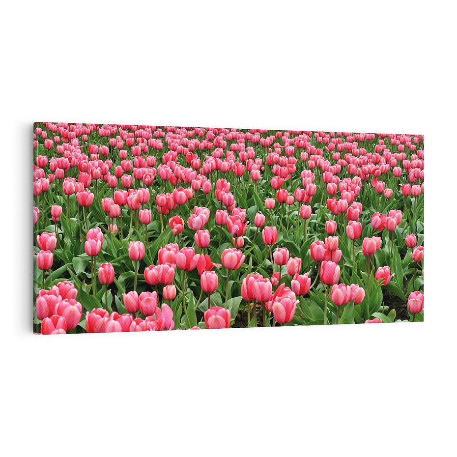 Obraz na płótnie 140x70 - Tulipanowe Elegancja - tulipany, kwiat