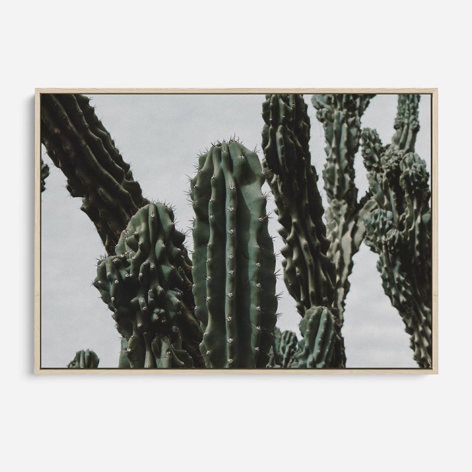 Obraz w ramie 120x80 - Boho oaza wśród kaktusów - kaktusy, pustynia - rama drewno