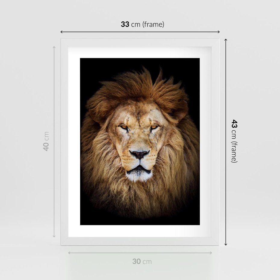 Plakat w ramie 30x40 - Król zwierząt w majestatycznym stylu - lew, król - rama biała