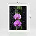 Plakat bez ramy 30x40 - Japońskie Spa w Otoczeniu Storczyków - storczyk, spa