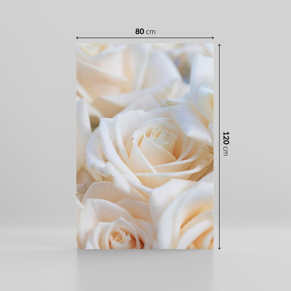 Obraz na płótnie 80x120 - Białe róże piękności - białe, róże