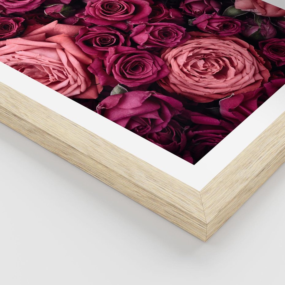 Plakat w ramie 30x40 - Róże - piękno kwiatów - róże, kwiaty - rama drewno