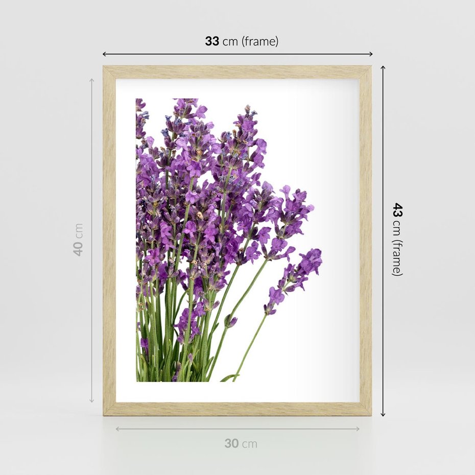 Plakat w ramie 30x40 - Pola lawendy w pełnym rozkwicie - lawenda, kwiaty - rama drewno