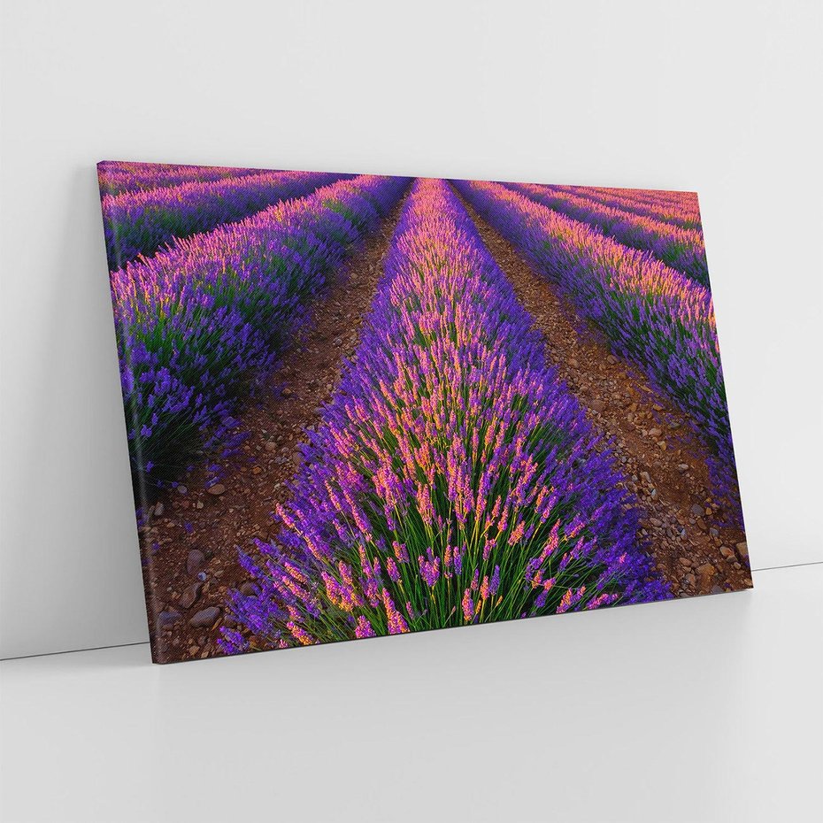 Obraz na płótnie 100x70 - Fioletowa Magia - pole, lawendy