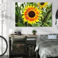 Obraz na płótnie 120x80 - Kwiatowa harmonia natury - słonecznik, kwiaty