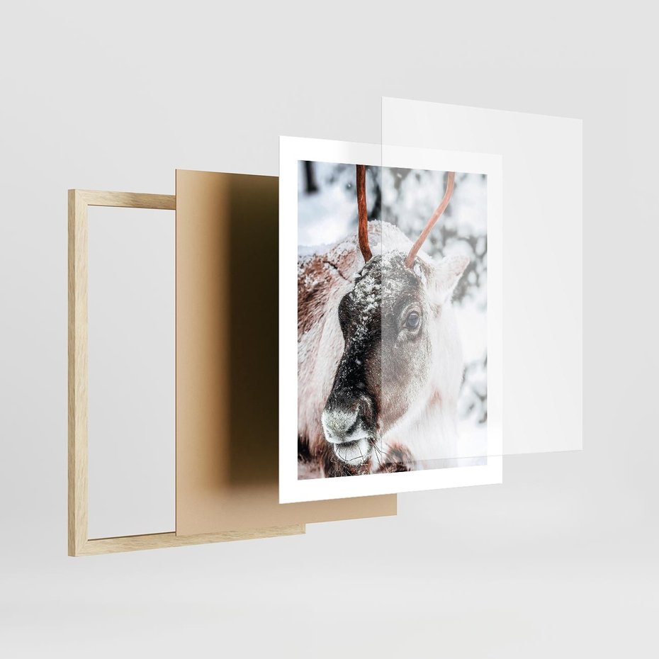 Plakat w ramie 40x50 - Renifer w Zimowej Krainie - renifer, zima - rama drewno