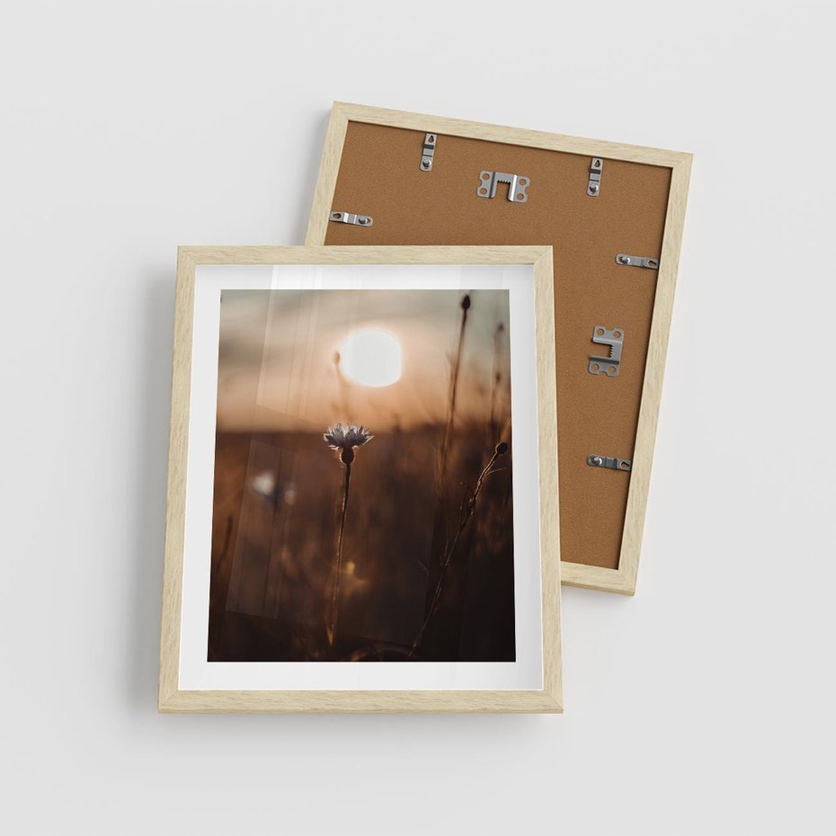 Plakat w ramie 40x50 - Spokój łąki pod zachodem słońca - zachód, słońca - rama drewno