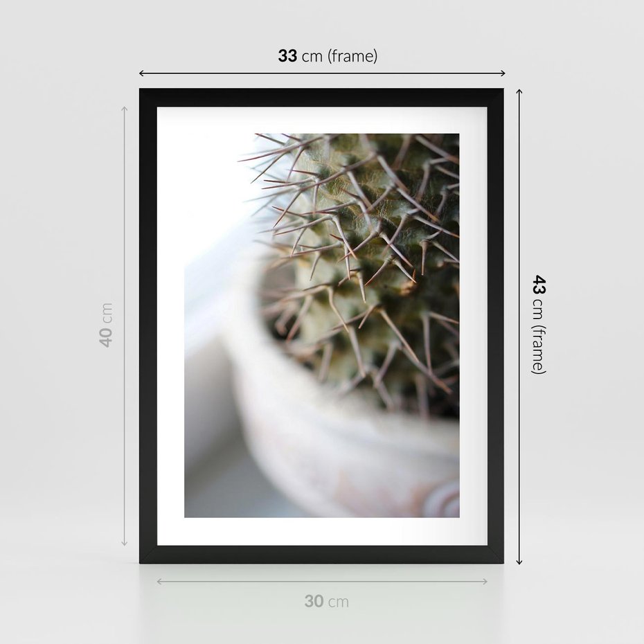 Plakat w ramie 30x40 - Kaktus w Zbliżeniu - kaktus, igły - rama czarna