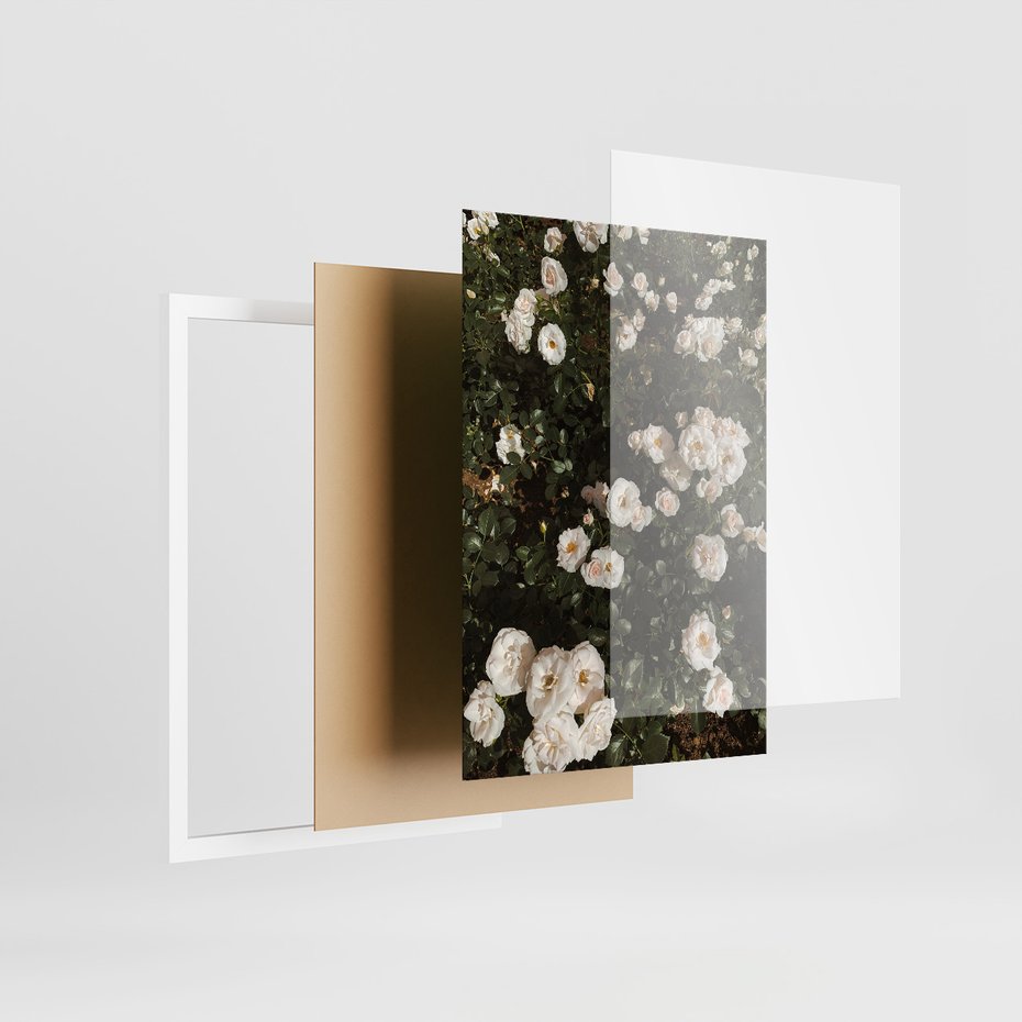 Zestaw obrazy w ramie 50x70 galeria - Boho, kwiaty, suche, trawy - rama biała