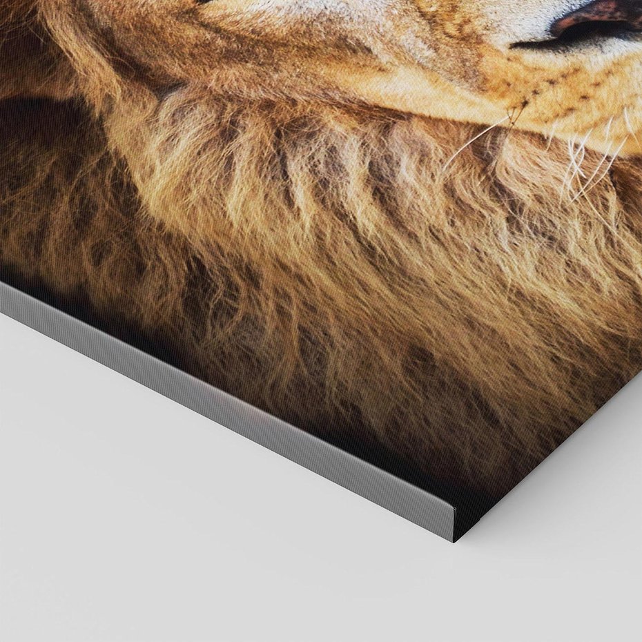 Obraz na płótnie 120x80 - Król zwierząt w majestatycznym stylu - lew, król