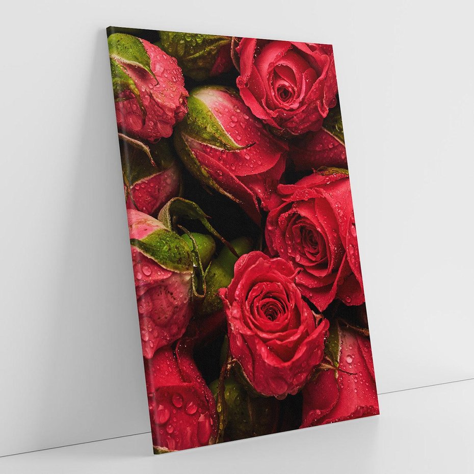 Obraz na płótnie 50x70 - Piękno róż: delikatność natury - róże, kwiaty
