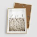 Plakat w ramie 50x70 - Nostalgiczny Pejzaż - suche trawy, pole - rama drewno