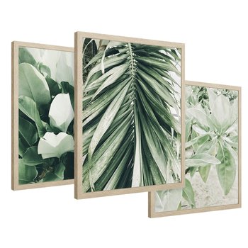 Zestaw obrazy w ramie 50x70 galeria - Liście, palma, monstera - rama drewno