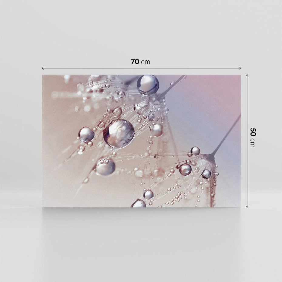 Obraz na płótnie 70x50 - Delikatne Natchnienie - krople, dmuchawce