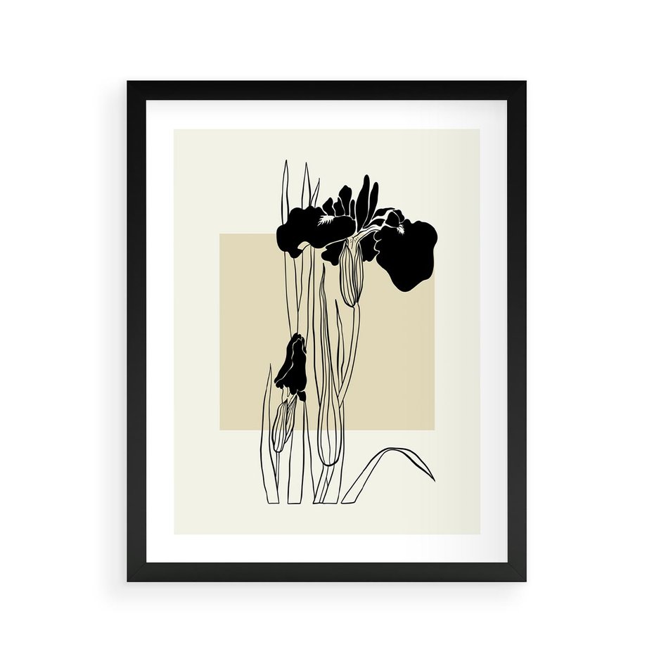 Plakat w ramie 40x50 - Rozkwitające w konturach - irys, kwiaty - rama czarna