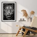 Plakat w ramie 50x70 - Tygrys Czarno-Biały: Siła i Delikatność - tygrys, czarno - rama czarna