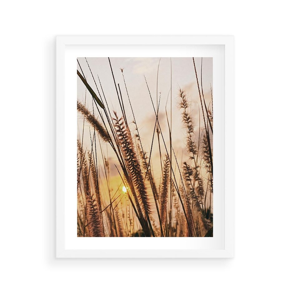 Plakat w ramie 40x50 - Malownicza Łąka z Trawam - trawy, łąka - rama biała