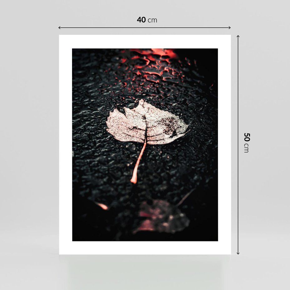 Plakat bez ramy 40x50 - Jesień w Detalu: Liść na Mokrej Drodze - liść, jesień