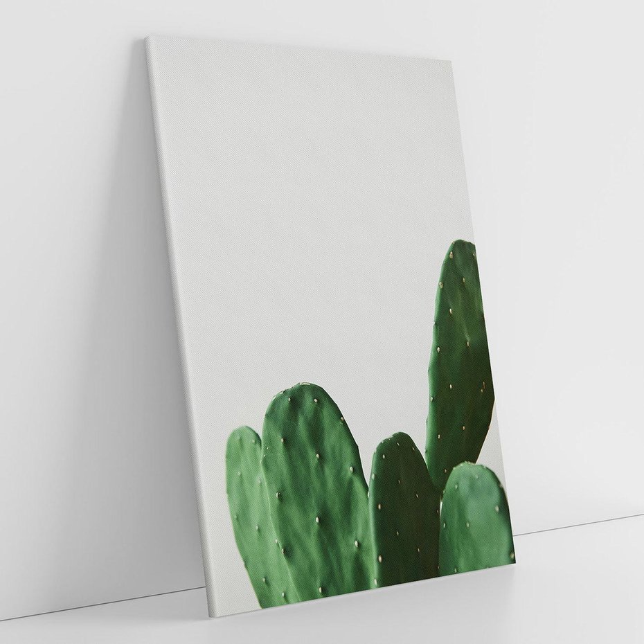 Obraz na płótnie 70x100 - Majestatyczne Wysokości - kaktusy, liście