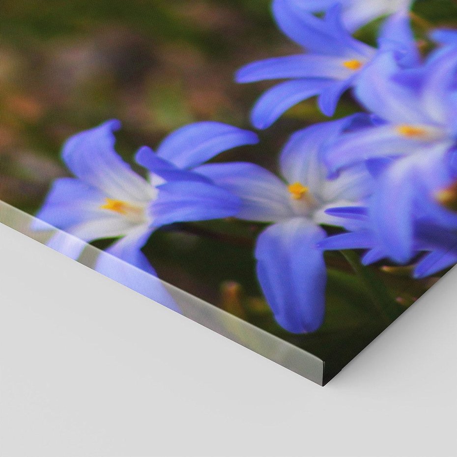 Obraz na płótnie 150x50 - Kwiatowy raj w naturze - kwiat, kwiaty