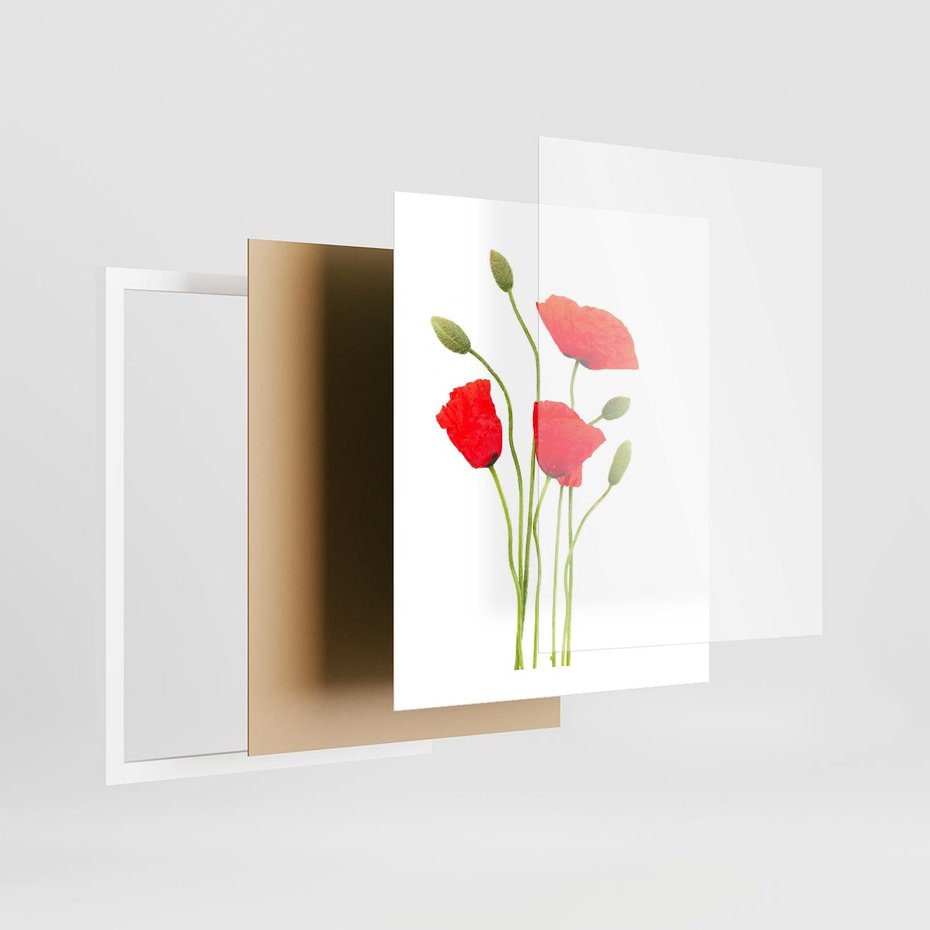 Plakat w ramie 40x50 - Pola maków w pełnym kolorze - maki, kwiaty - rama biała
