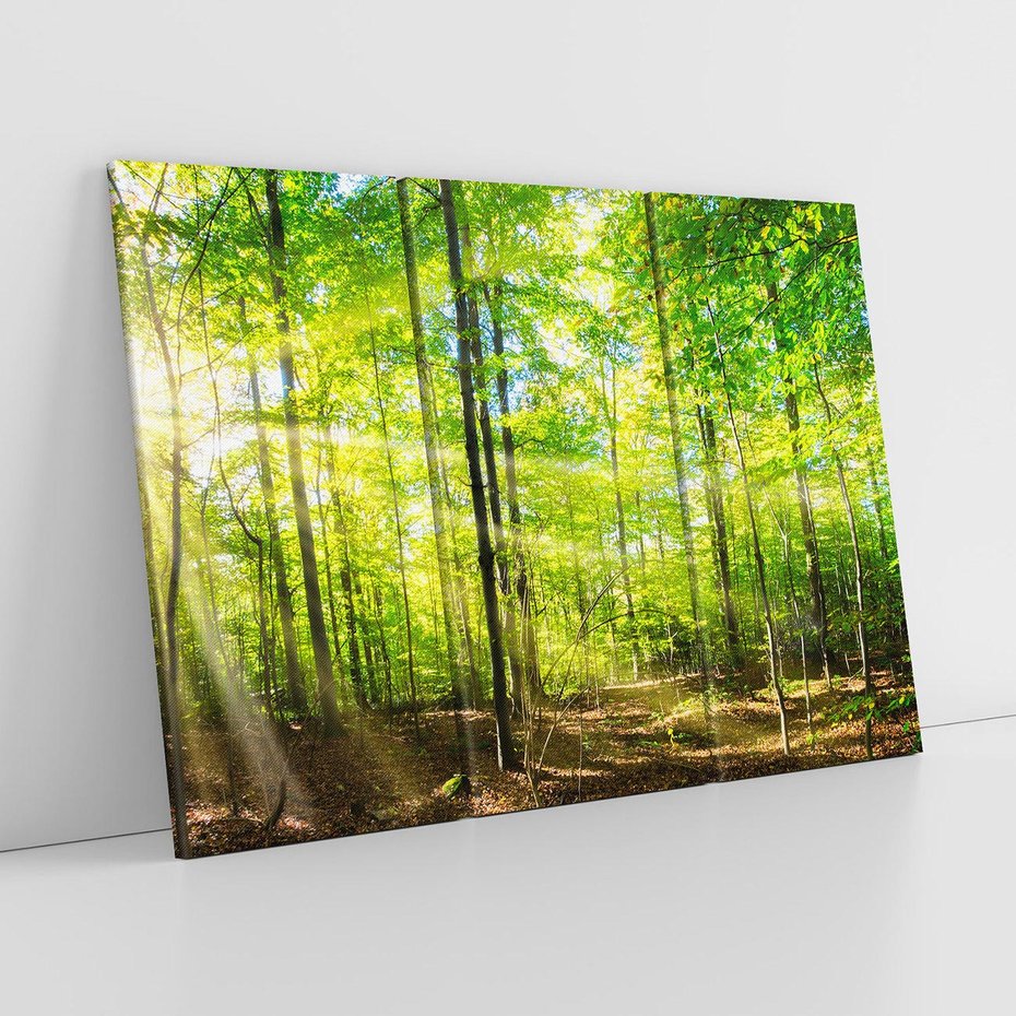 Obraz na płótnie 120x80 - Drzewa w harmonii - las, drzewa