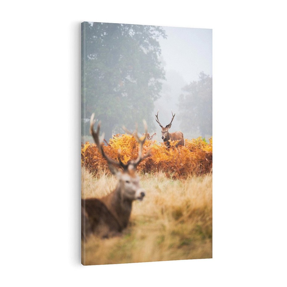 Obraz na płótnie 50x70 - Malownicza Harmonia - jelenie, jesień