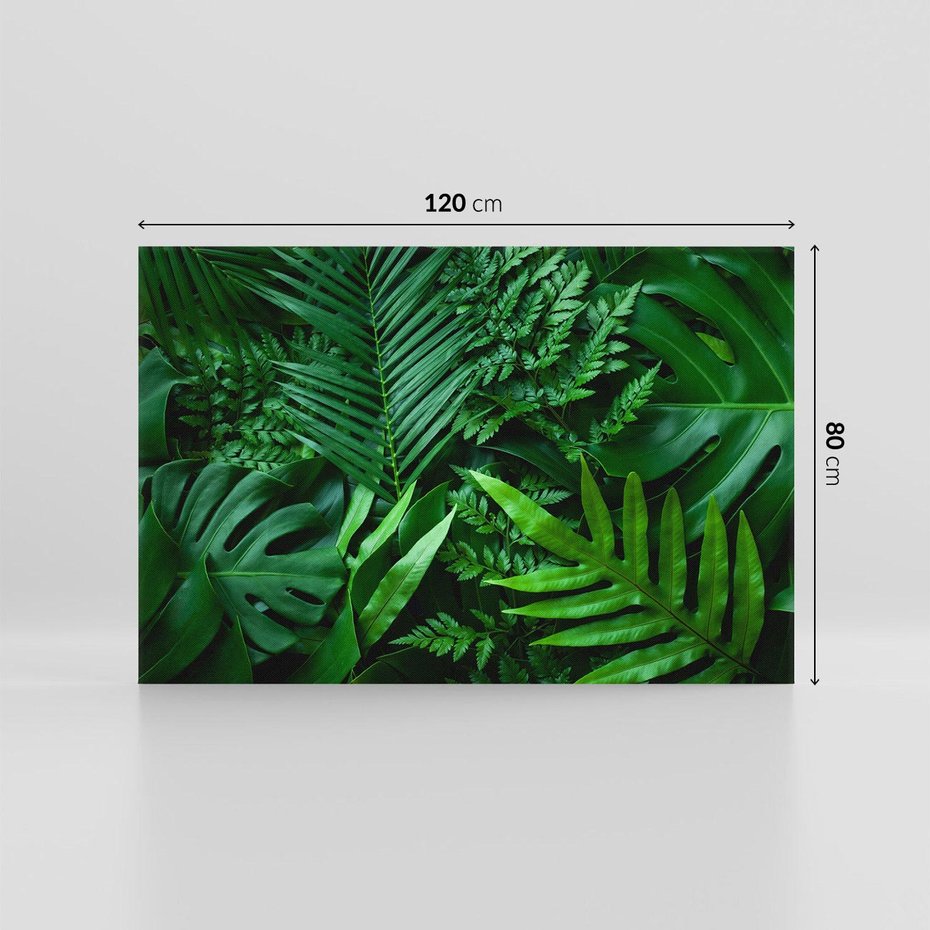 Obraz na płótnie 120x80 - Monstera Liście Fantazja - monstera, liście