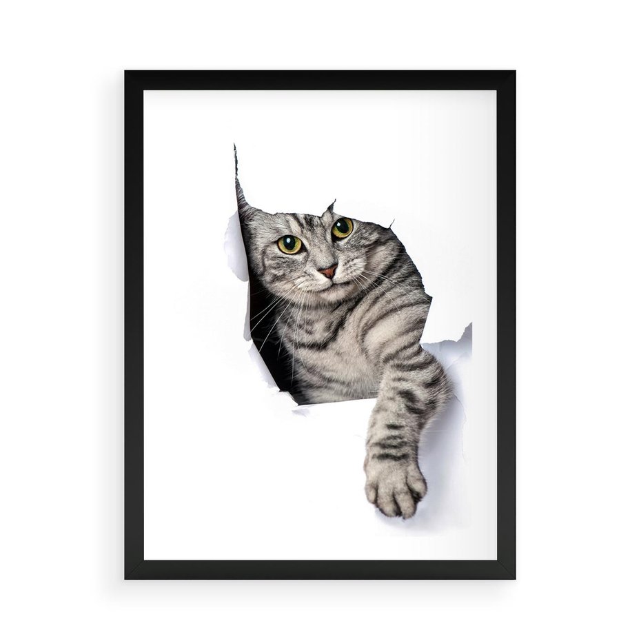 Plakat w ramie 50x70 - Tajemniczy kot i jego świat - kot, dziura - rama czarna