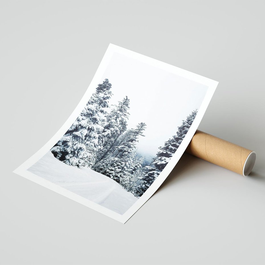 Plakat bez ramy 30x40 - Zimowy Las Pod Kołdrą - las, zima