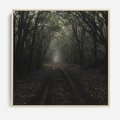 Obraz w ramie 50x50 - Urok Drogi - las, droga - rama drewno
