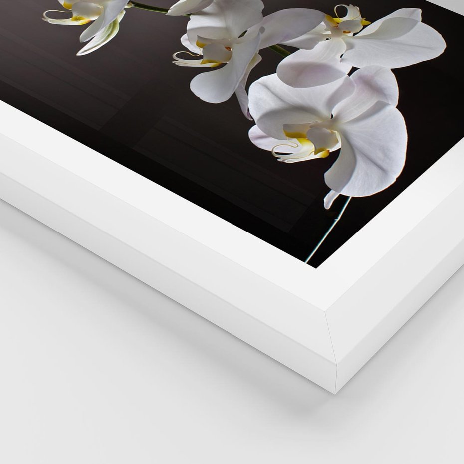 Plakat w ramie 30x40 - SPA: harmonia z kwiatami - spa, kwiaty - rama biała