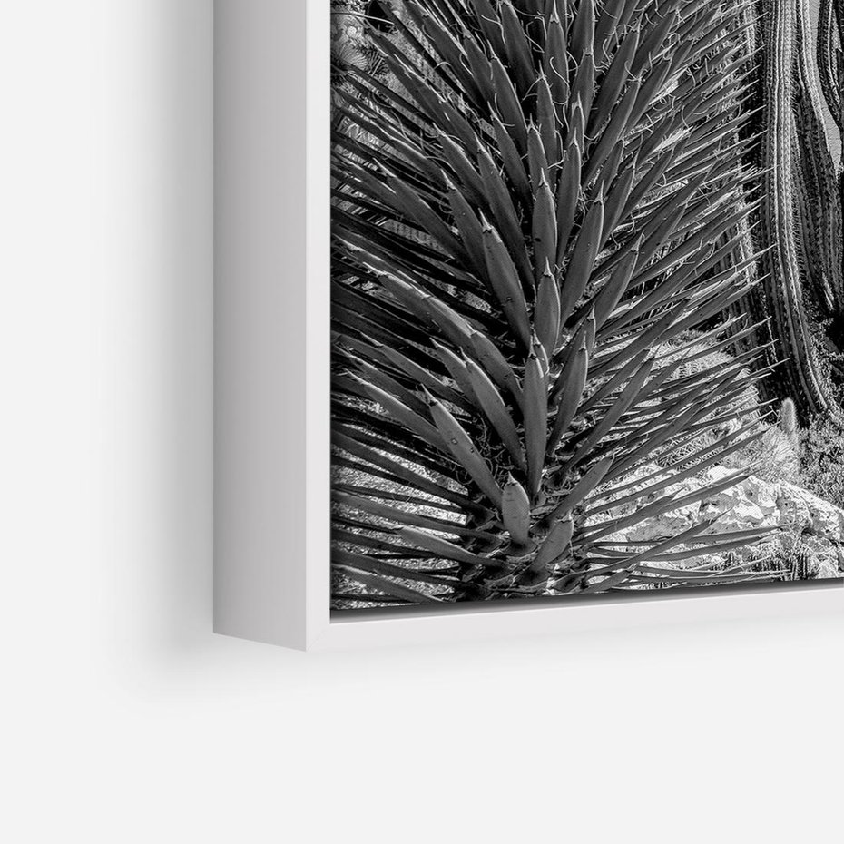 Obraz w ramie 80x80 - Pustynny Klimat - czarno białe zdjecie, pustynia - rama biała