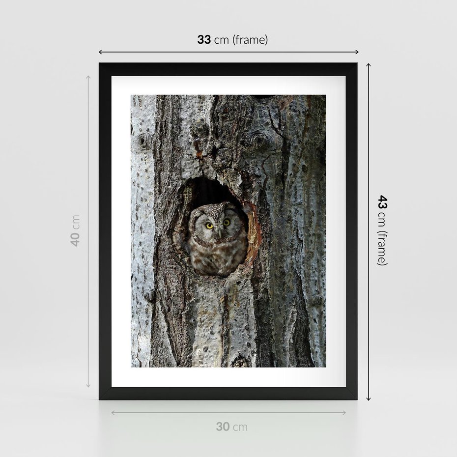 Plakat w ramie 30x40 - Tajemniczy W świecie Nocy - sowa, dziupla - rama czarna