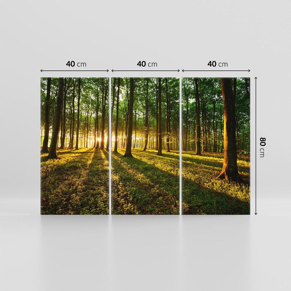 Obraz na płótnie 120x80 - Mistyfikujący urok leśnej głuszy - las, drzewa