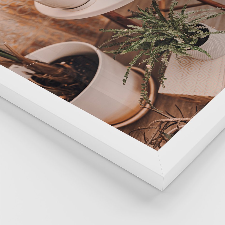 Zestaw obrazy w ramie 50x70 galeria - Kwiaty, kaktusy, w, doniczkach, boho - rama biała