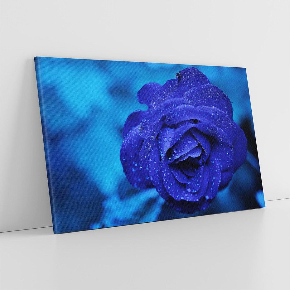 Obraz na płótnie 100x70 - Róża w pełnym rozkwicie - róża, kwiat