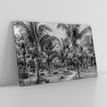 Obraz na płótnie 100x70 - Mroczna Ścieżka Tropików - czarno biała fotografia, ścieżka pośród palm