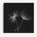 Obraz w ramie 50x50 - Delikatność Wiatru - dmuchawce, makro - rama czarna